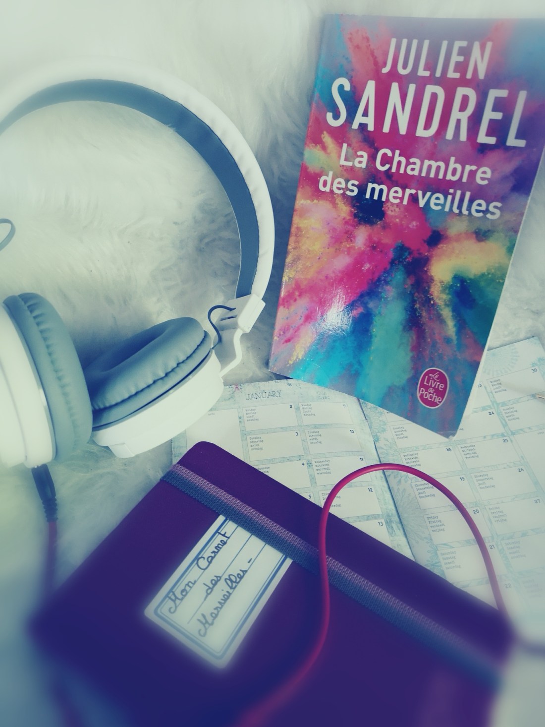 IMG_20190719_132353_resized_20190719_040622142