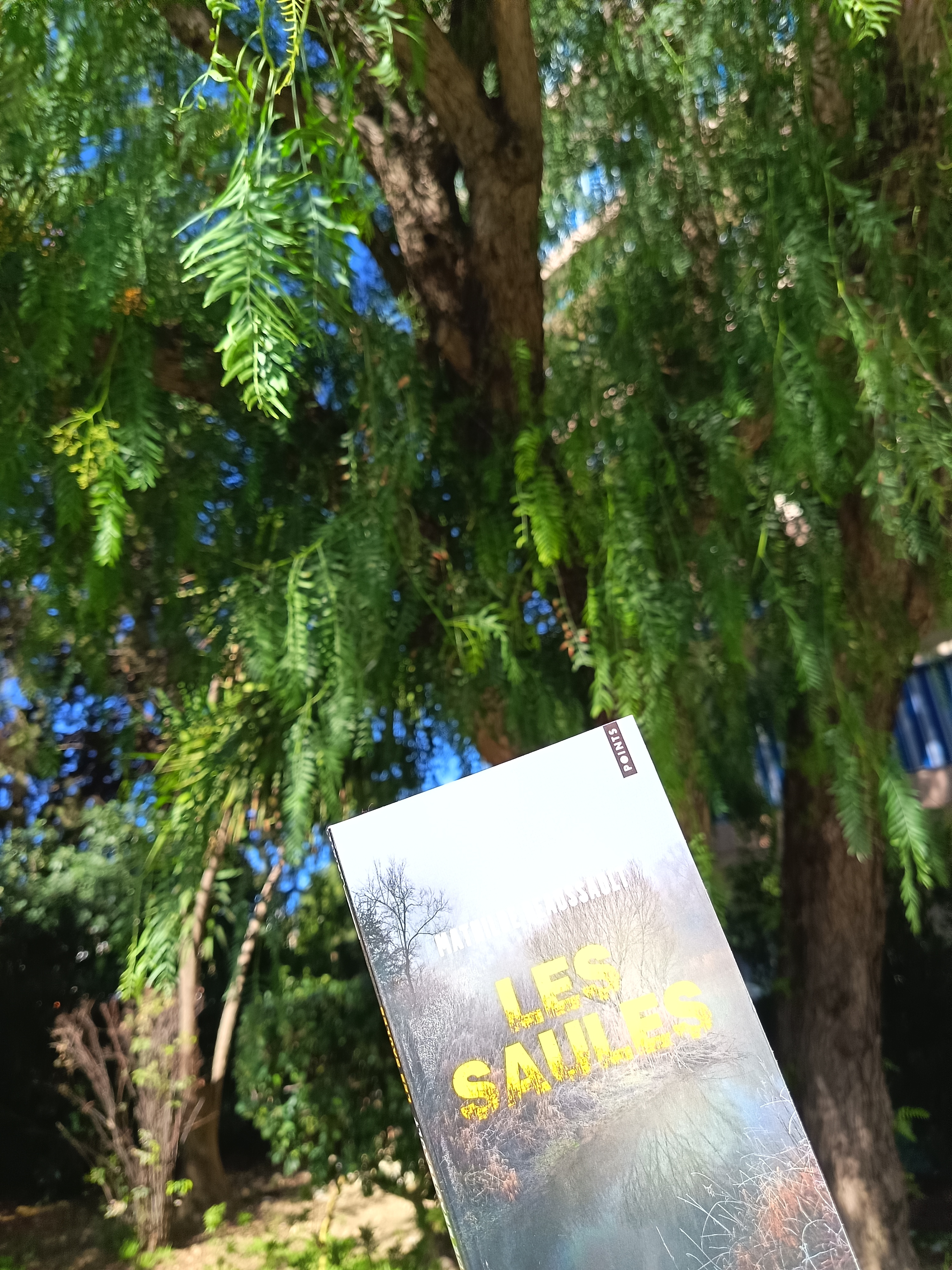 Le roman les Saules au milieu des arbres.